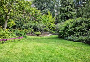 Optimiser l'expérience du jardin à Florimont